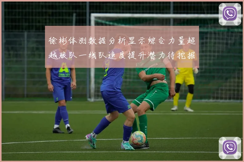 徐彬体测数据分析显示综合力量超越狼队一线队速度提升潜力待挖掘