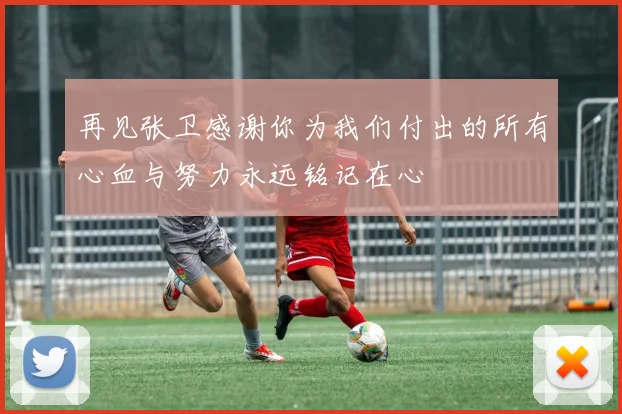 再见张卫感谢你为我们付出的所有心血与努力永远铭记在心