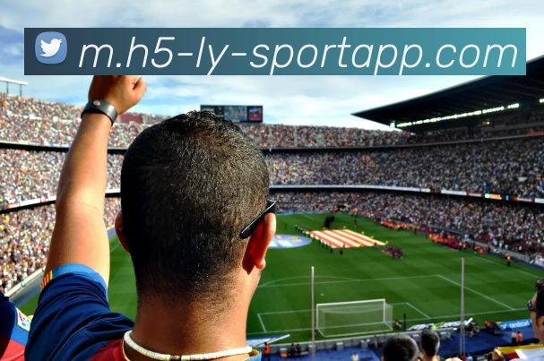 App Interface Preview