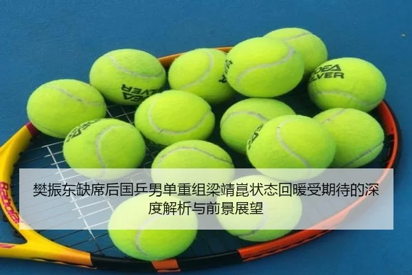 樊振东缺席后国乒男单重组梁靖崑状态回暖受期待的深度解析与前景展望（leyu.com）